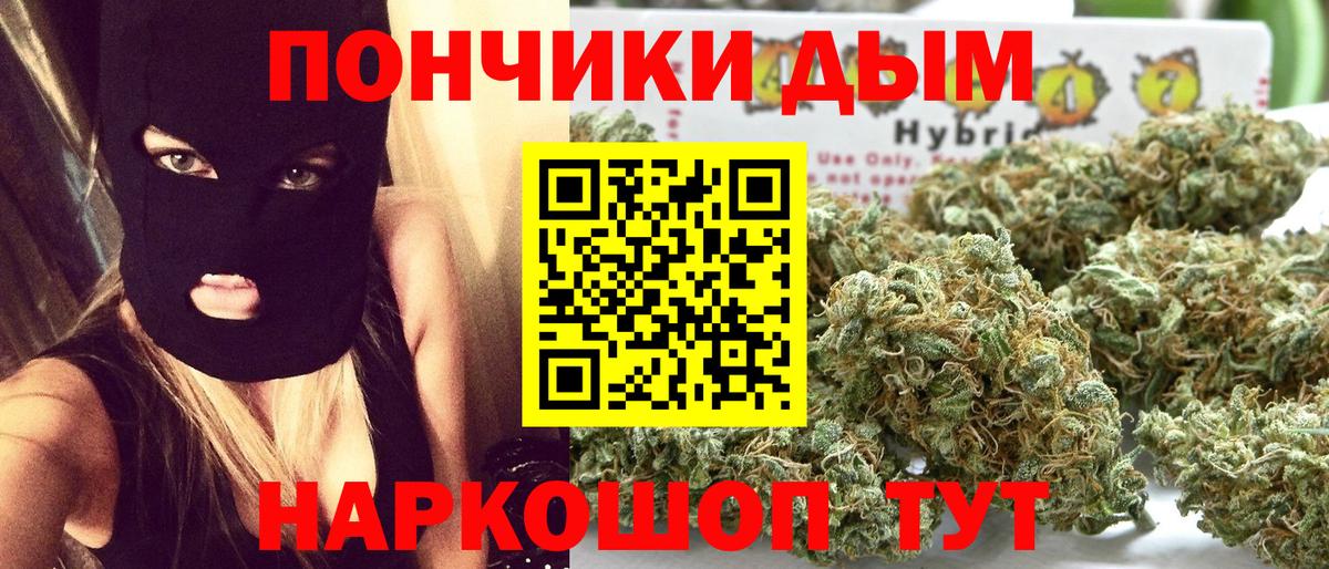 Бошки Шишки конопля Котлас